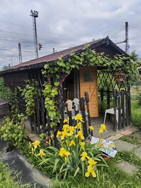 Obr: 14667.jpg