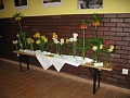 Obr: 16826.jpg
