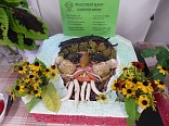 Obr: 6683.jpg