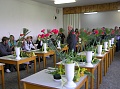 Obr: 229.jpg