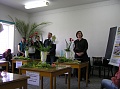 Obr: 230.jpg