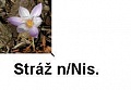 Obr: 1843.jpg
