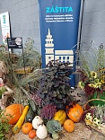 Obr: 5238.jpg