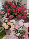 Obr: 5738.jpg