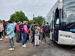 Obr: 6453.jpg