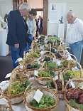 Obr: 6637.jpg