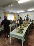 Obr: 6937.jpg