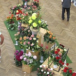 Obr: 6519.jpg