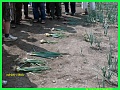 Obr: 1242.jpg