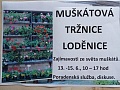 Obr: 2564