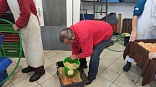 Obr: 43595.jpg