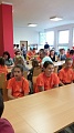 Obr: 27534.jpg