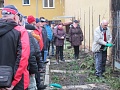 Obr: 29774.jpg