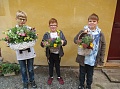 Obr: 40902.jpg