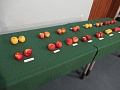Obr: 41262.jpg