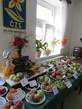 Obr: 43366.jpg