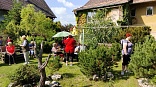 Obr: 45025.jpg