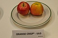 obr