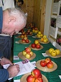 Obr: 14741.jpg