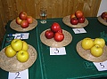 Obr: 14742.jpg