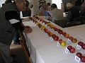 Obr: 2108.jpg