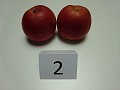 Obr: 25715.jpg