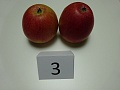 Obr: 25716.jpg