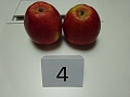Obr: 25717.jpg