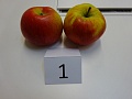 Obr: 30417.jpg