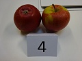 Obr: 30420.jpg