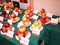 Obr: 4958.jpg