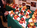 Obr: 4959.jpg
