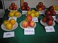 Obr: 9471.jpg