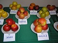 Obr: 9473.jpg