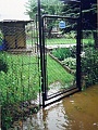 Obr: 2402.jpg