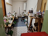 Obr: 47432.jpg