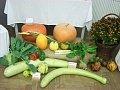 Obr: 13799.jpg