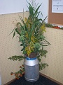 Obr: 21378.jpg