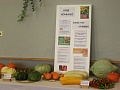 Obr: 21385.jpg