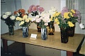 Obr: 3487.jpg