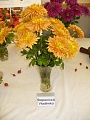 Obr: 4135.jpg