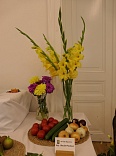 Obr: 43796.jpg