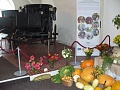 Obr: 4461.jpg