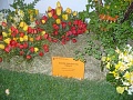 Obr: 4653.jpg