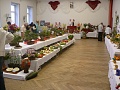 Obr: 4873.jpg
