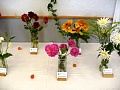 Obr: 5104.jpg