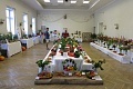 Obr: 5418.jpg
