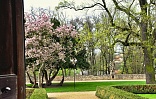 Obr: 50068.jpg